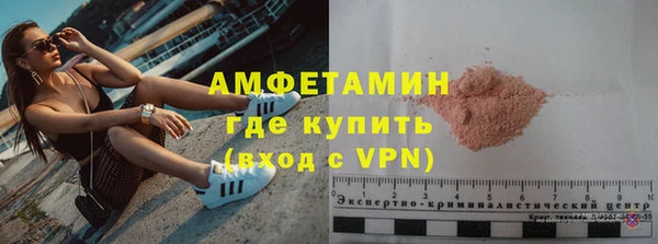 дмт Каменка