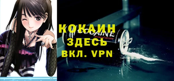 хмурый Аркадак