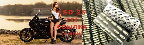 прущая мука Мурманск