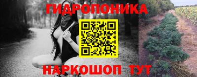 мяу мяу мука Ливны
