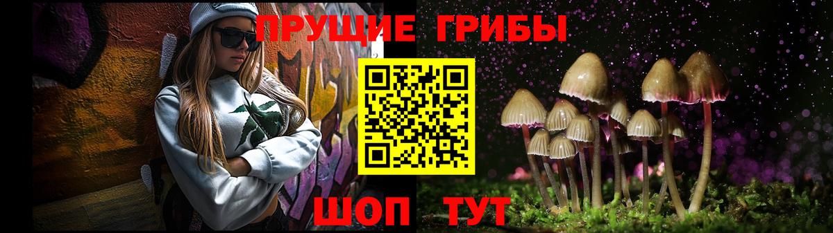 Новокубанск  Галлюциногенные грибы Psilocybine cubensis  Вход с VPN 